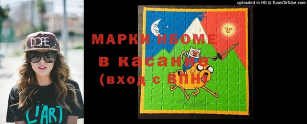 прущие грибы Абинск