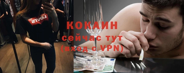 прущие грибы Абаза