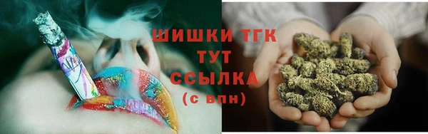 прущие грибы Абинск