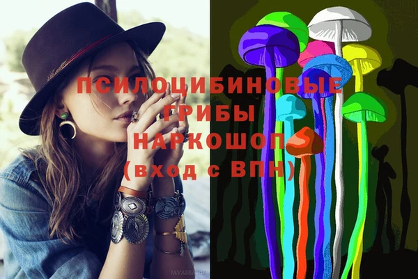 прущие грибы Абинск