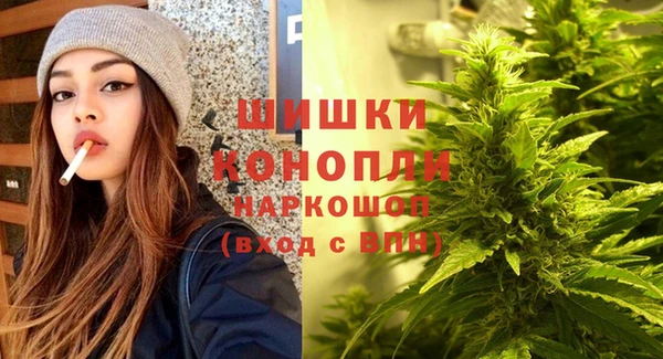 прущие грибы Абинск
