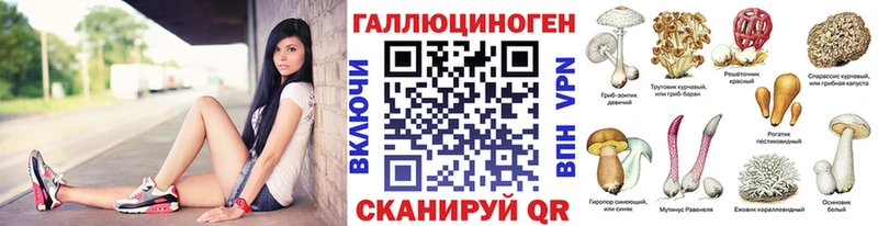 где продают наркотики  Стерлитамак  KRAKEN   Галлюциногенные грибы Psilocybe 