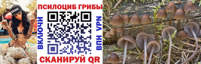 Псилоцибиновые грибы ЛСД Стерлитамак